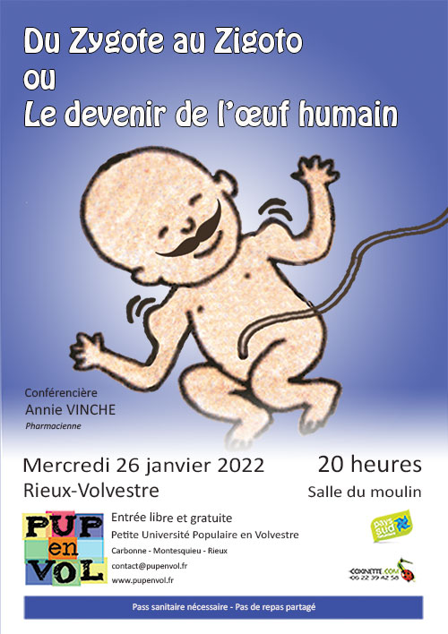 Du Zygote au Zigoto ou le devenir de l’œuf humain